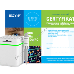 Certyfikowane szkolenie - Roboty GeniBot w edukacji przedszkolnej + Zestaw Rozszerzony z Genibotem