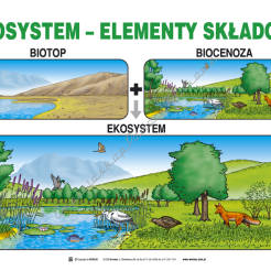 Edukacja Ekologiczna - Komplet 20 Plansz (50cm X 70cm)