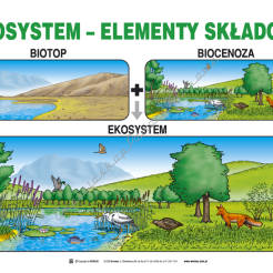 Edukacja ekologiczna - komplet 20 plansz (50cm x 70cm)