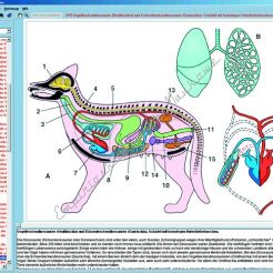 Zoologia - CD-ROM ze zdjęciami preparatów mikroskopowych