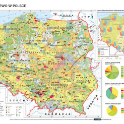 Rolnictwo w Polsce - uprawy i struktura użytkowania ziemi - mapa ścienna 160 x 120 cm
