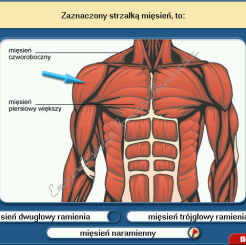Program multimedialny CD 