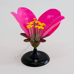 Model kwiatu brzoskwini - kwiat