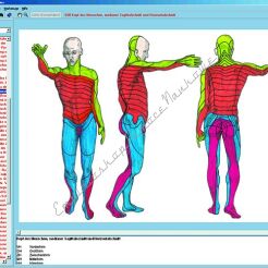 Układ nerwowy i przekazywanie informacji. Część II - CD-ROM ze zdjęciami preparatów mikroskopowych