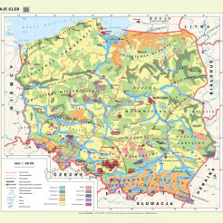 Polska - rodzaje gleb - mapa ścienna 200 x 150 cm