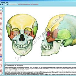 Szkielet człowieka, umięśnienie i aparat ruchu - CD-ROM ze zdjęciami preparatów mikroskopowych