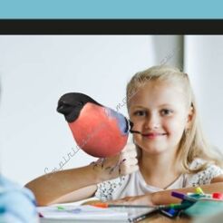 Aplikacja Corinth Online - 200 kont użytkowników/48 miesięcy