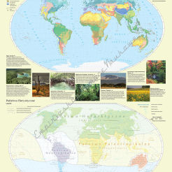 Państwa florystyczne i formacje roślinne świata - mapa ścienna 120 x 160 cm
