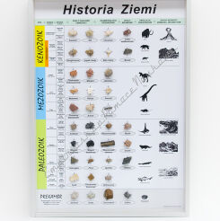 HISTORIA ZIEMI – gablota edukacyjna 90cm x 65cm