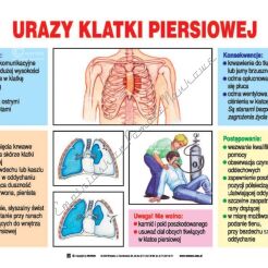 Pierwsza pomoc - zestaw 21 tablic edukacyjnych